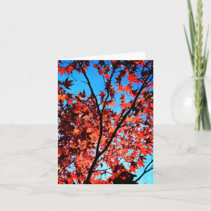 Autumn leaves card