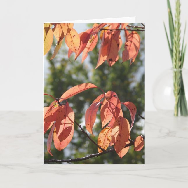 Autumn Leaves Card (Front)