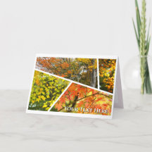 Autumn Leaves