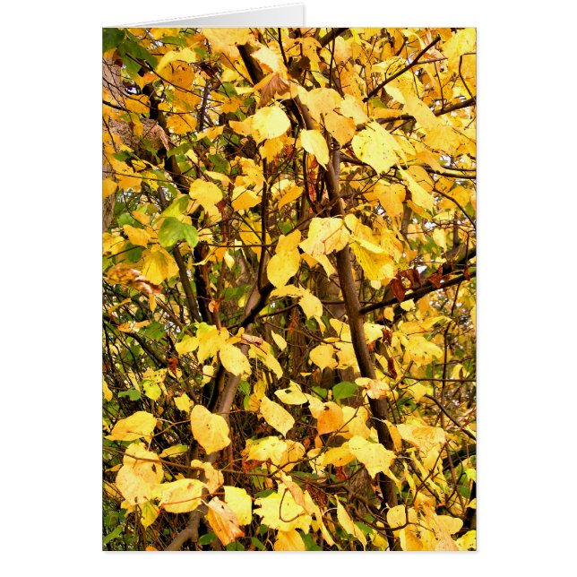 AUTUMN LEAVES CARD (Front)