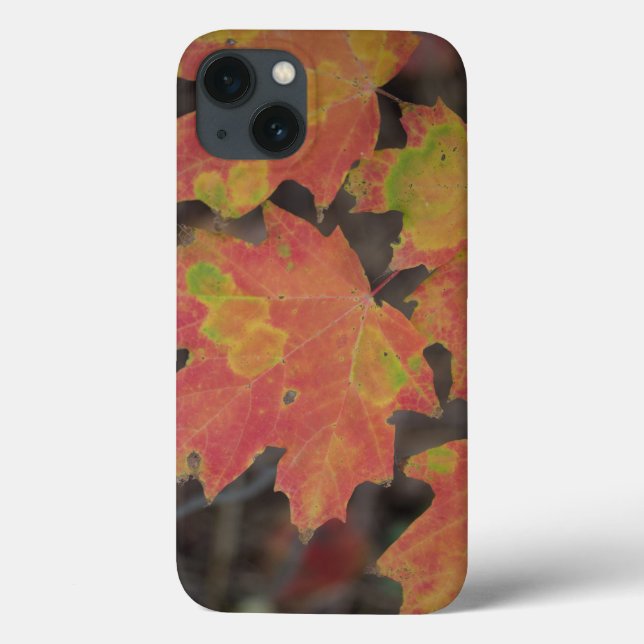 Autumn Leaves Case-Mate iPhone Case (Back)