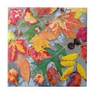 Autumn Leaves Ceramic Coster Tile