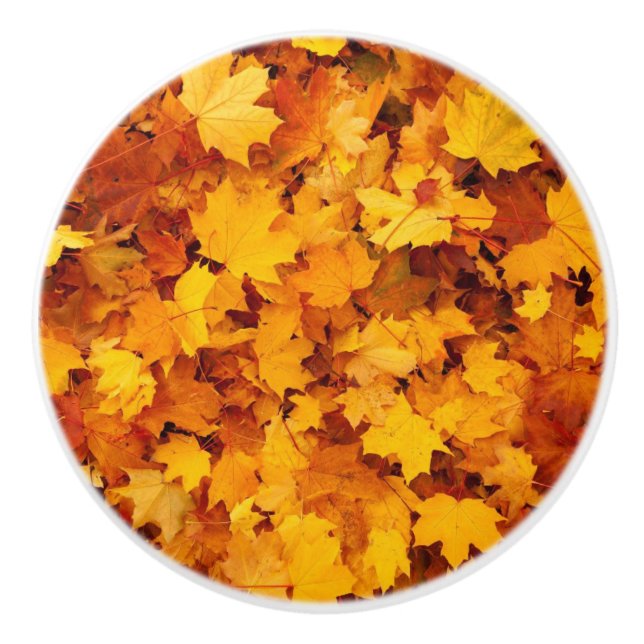 Autumn Leaves Ceramic Knob (Front)