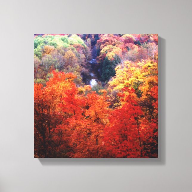 Autumn Leaves Changing Colour Canvas Print (Front)