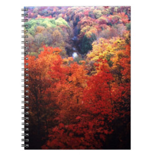Autumn Leaves Changing Colour Spiral Notebook