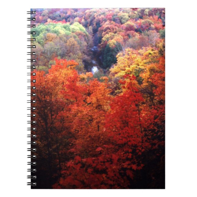 Autumn Leaves Changing Colour Spiral Notebook (Front)