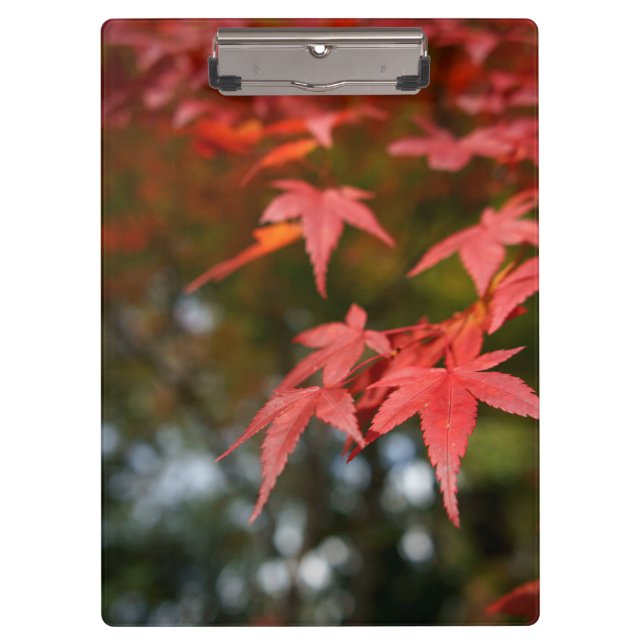 Autumn Leaves Clipboard (Front)