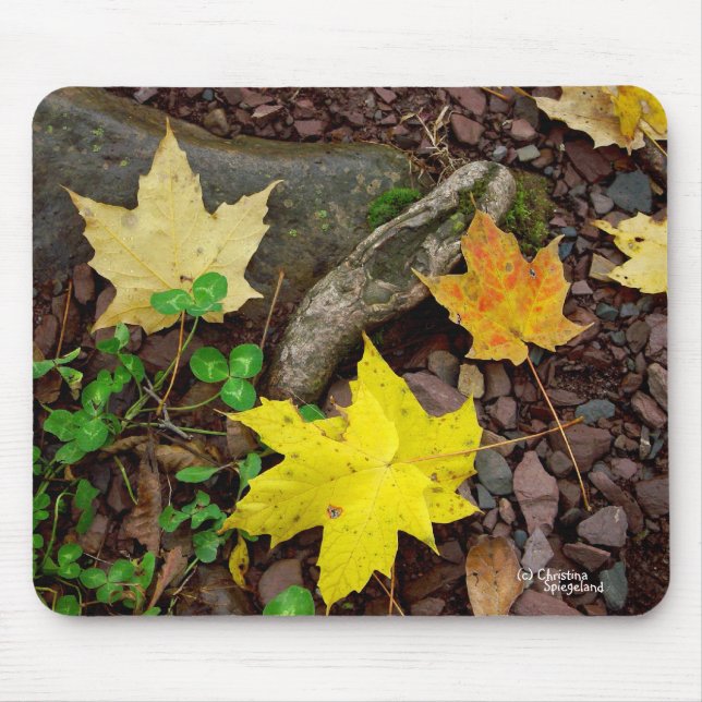 Autumn Leaves Clover Pebbles Mousepad (Front)