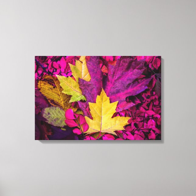 Autumn Leaves Collage By Thomas Minutolo Canvas Print (Front)
