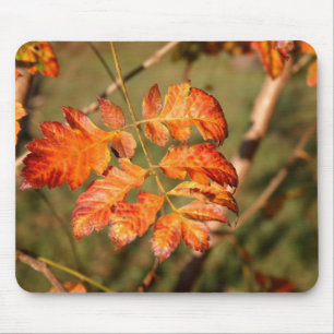 Autumn Leaves Colours Mousepad