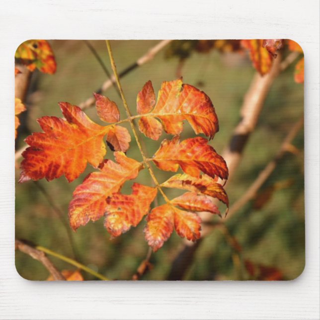 Autumn Leaves Colours Mousepad (Front)