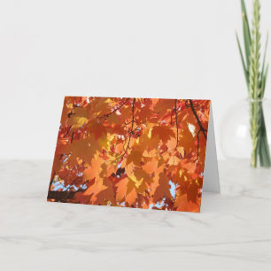 Autumn Leaves custom Greeting Cards Fall Trees