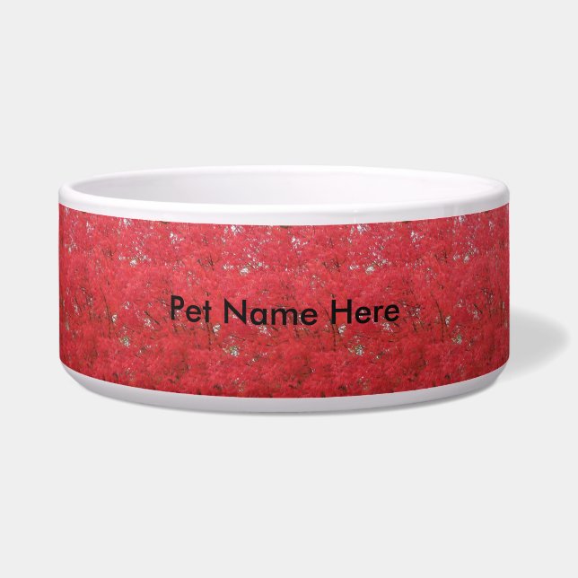 Autumn Leaves Dog Bowl (Front)