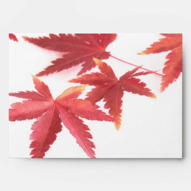 Autumn leaves envelope (Front)