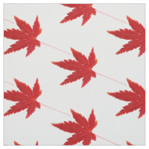Autumn leaves fabric
