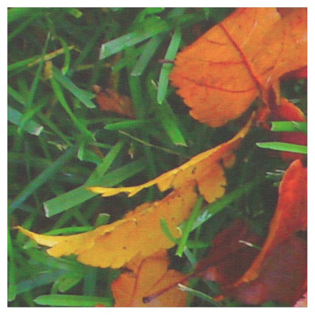 Autumn Leaves Fabric (Close Up)