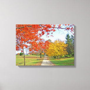 Autumn Leaves Fall Canvas Print