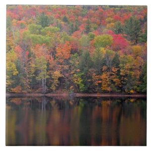 Autumn Leaves Fall Color Scene Ceramic Tile