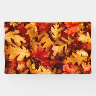 Autumn Leaves - Fall Colour Banner