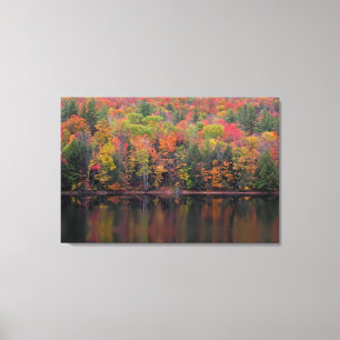 Autumn Leaves Fall Colour Scene Canvas Print