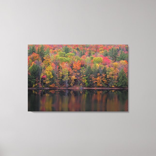 Autumn Leaves Fall Colour Scene Canvas Print (Front)