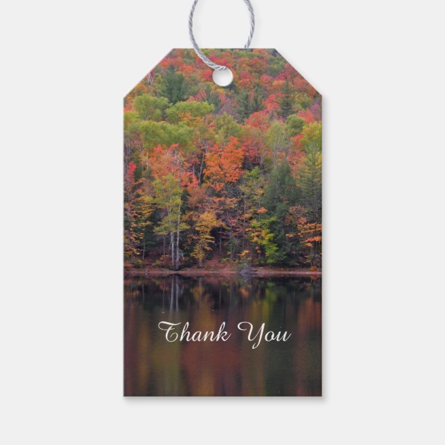 Autumn Leaves Fall Colour Scene Gift Tag (Front)