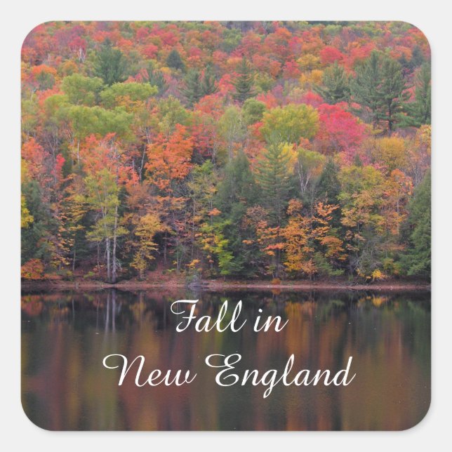 Autumn Leaves Fall Colour Scene Stickers (Front)