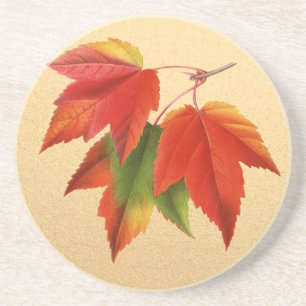 Autumn Leaves Fall Colours Maple Leaf on Gold Coaster