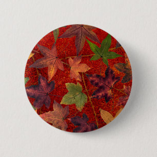 Autumn Leaves Fall Season Tree Leaf Colourful 6 Cm Round Badge