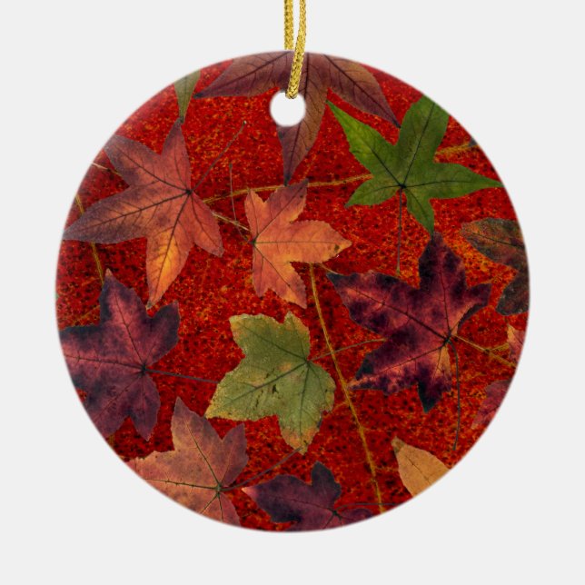 Autumn Leaves Fall Season Tree Leaf Colourful Ceramic Tree Decoration (Front)