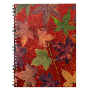 Autumn Leaves Fall Season Tree Leaf Colourful Spiral Notebook