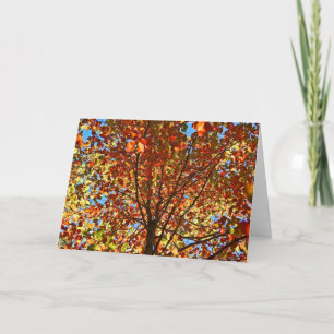 Autumn Leaves Fireworks Card