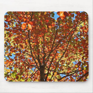 Autumn Leaves Fireworks Mouse Pad