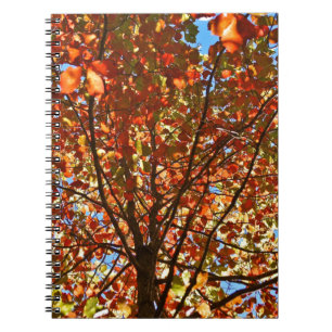 Autumn Leaves Fireworks Notebook