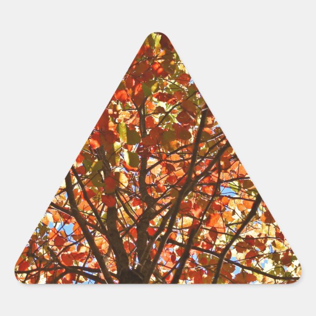 Autumn Leaves Fireworks Triangle Sticker (Front)