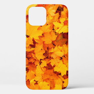 Autumn leaves foliage autumn leaves iPhone 12 case