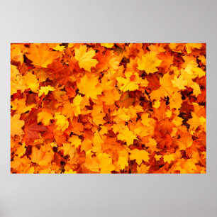 Autumn leaves foliage autumn leaves poster
