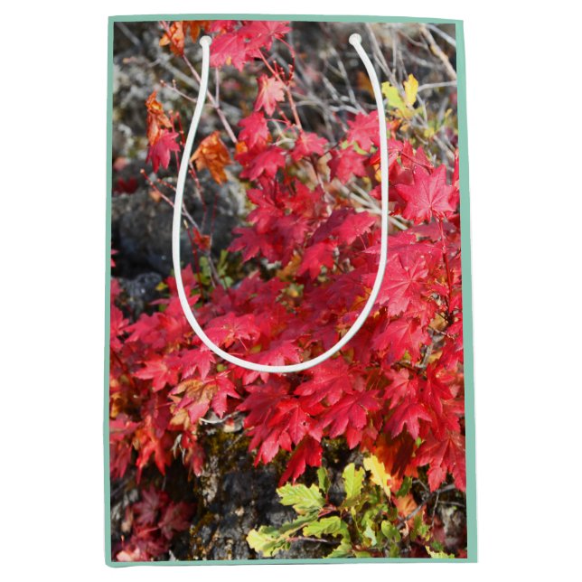 Autumn Leaves Gift Bag (Front)