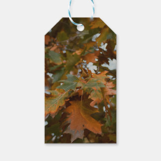 Autumn leaves gift tags