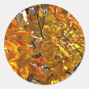 Autumn Leaves Gold Gifts Apparel Collectibles Classic Round Sticker