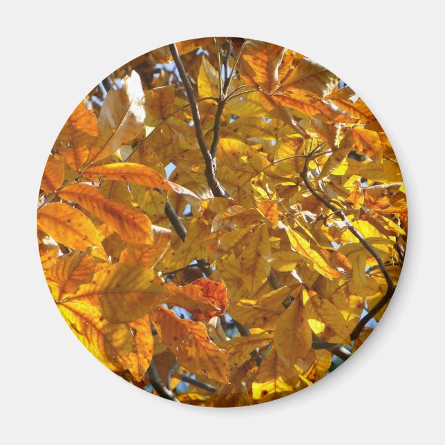 Autumn Leaves Gold Gifts Apparel Collectibles Magnet (Front)