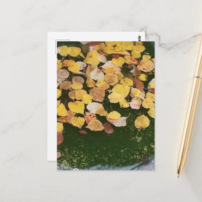 Autumn leaves in a Pella Iowa Fountain Postcard (Front/Back In Situ)