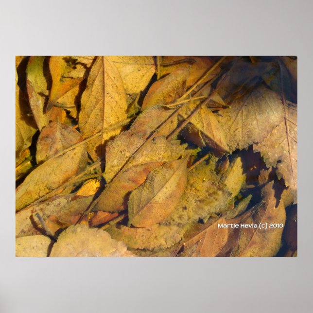 Autumn Leaves in a Rain Puddle Poster (Front)