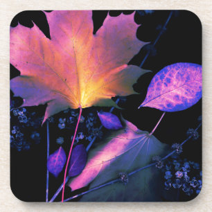 Autumn Leaves in Neon Coaster