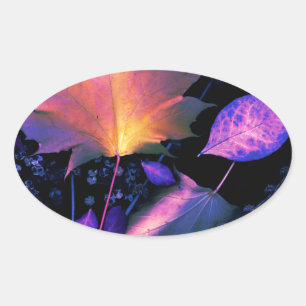 Autumn Leaves in Neon Oval Sticker
