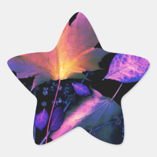 Autumn Leaves in Neon Star Sticker