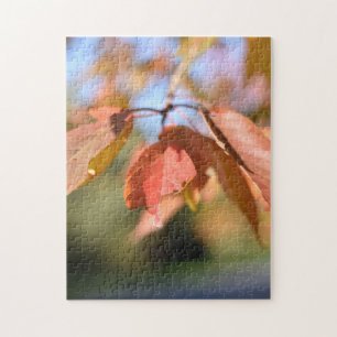 Autumn Leaves in Regent's Park London England Jigsaw Puzzle