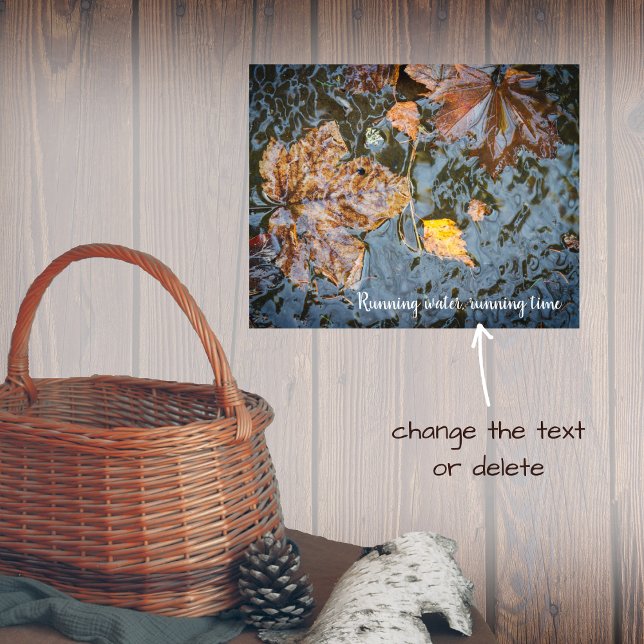 Autumn leaves in the forest stream poster (Creator Uploaded)