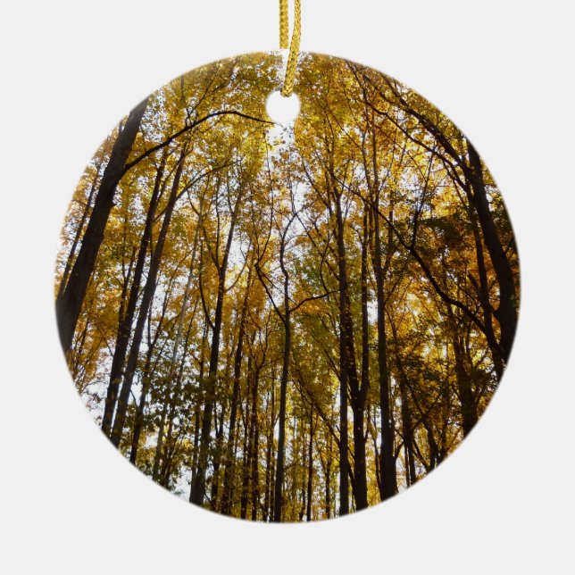 Autumn Leaves in the Morning Maryland Nature Ceramic Tree Decoration (Front)