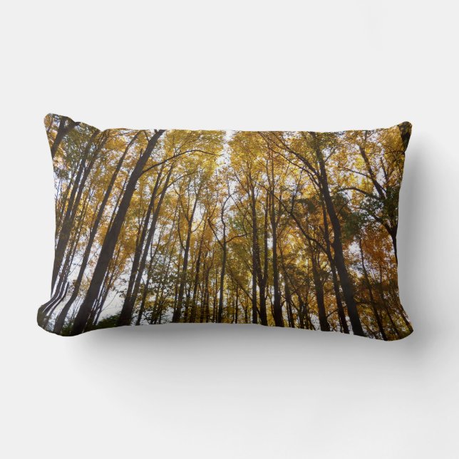 Autumn Leaves in the Morning Maryland Nature Lumbar Cushion (Front)